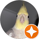 layla profile picture
