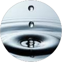 prishia vb profile picture